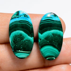 Paire de chrysocolles en malachite naturelle, pierres précieuses 24 x 13 x 4 mm, 33 carats Paire de chrysocolles et de malachites