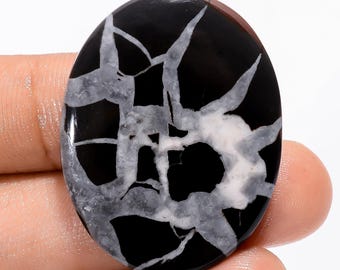 May include: Black and white dendritic agate cabochon with a swirling pattern. The agate is polished and has a smooth surface.