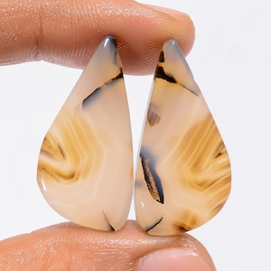 Paire d'agates du Montana naturelles de forme fantaisie Paire d'agates du Montana, pierres précieuses en vrac, cabochon, 31 carats 30 x 14 x 4 mm Paire d'agates du Montana