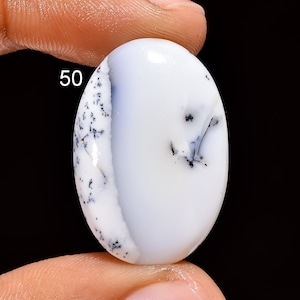 100% natürliche Dendrit Opal Cabochon Mix Form Dendrit Opal Edelstein Gute Qualität Lose Edelstein Wehr Verpackung Schmuck machen Stein Cabs