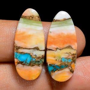 Paire de pierres turquoises naturelles huîtres des deux côtés. Paire de pierres turquoises taille 24 x 10 x 3 mm.