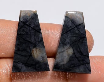 Könnte beinhalten: Zwei dreieckige Cabochons aus schwarz-weiß gemustertem Stein. Die Steine haben eine glatte, polierte Oberfläche.