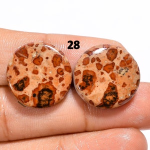 Par de pedras preciosas de jaspe asteroide, pedra preciosa solta de cabochão de jaspe asteroide, pedra de nascimento de jaspe asteroide de alta qualidade para fazer joias