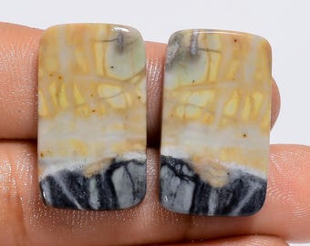 Könnte beinhalten: Zwei rechteckige Cabochons aus poliertem, natürlichem, mehrfarbigem Jaspis. Die Steine haben ein geschichtetes Muster aus Weiß, Gelb, Braun und Schwarz. Die Steine sind etwa 2,5 cm lang und 1,25 cm breit.