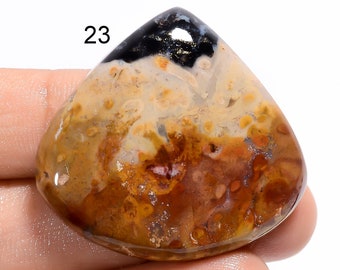 Natural Palm Root Agate Cabochon Gemstone Palm Root Agate Crystal Agate Stone For Making Jewelry ( Stone As Picture