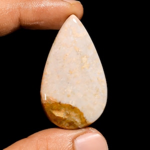 Goccia di cristallo di corallo fossile naturale, pietra di corallo fossile, dimensioni 42X25X5 mm, pietra di corallo fossile, fondo piatto, corallo lucido