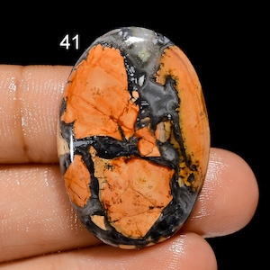 Natürliche Maligano Jaspis Cabochon lose Edelstein-Mix Form & Größe Maligano Jaspis, indonesischer Stein, Palmenstein, Stein zur Schmuckherstellung
