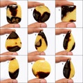 Natural Septarian Cabochon, Septarian Loose Stone, Septarian Gemstone, High Quality Septarian Stone, Septarian Picture As Gift For Her product logo