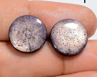 May include: Two round, polished cabochon gemstones with a dark purple and grey hue. Each stone displays a distinct, centered six-sided star pattern radiating outward, with small dark inclusions scattered across the smooth, reflective surfaces.