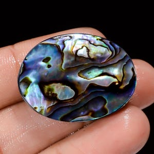 May include: Oval shaped abalone shell with iridescent blue, green, and purple colors. The shell has a natural, organic pattern.