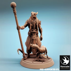 Kriv by Rescale Miniatures - Swarm of the Vouivre| D&D | Dungeons Dragons | Pathfinder | Wargaming | TTRPG | RPG