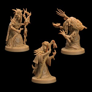 Swamp Hags by Dragon Trappers Lodge