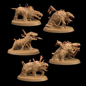 Dissolvers by Dragon Trappers Lodge