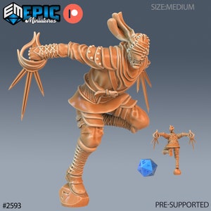 Vampire Assassin by Epic Miniatures | Vampires Curse