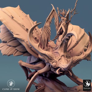 Royal Fae by Rescale Miniatures - Curse of Briar| D&D | Dungeons Dragons | Pathfinder | Wargaming | TTRPG | RPG