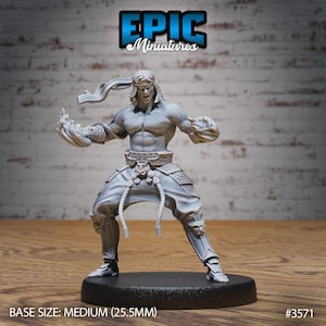 Fire Style Kung Fu Master by Epic Miniatures | Iron Fist Tournament