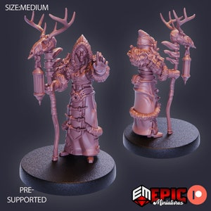 Winter Shaman by Epic Miniatures - Barbarian Winter