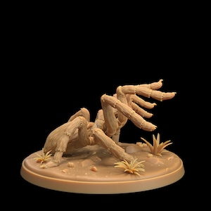 Tarantulas by Dragon Trappers Lodge - Gunslinger