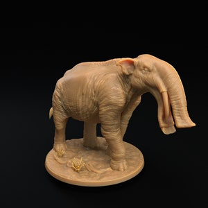 Platybelodon by Dragon Trappers Lodge