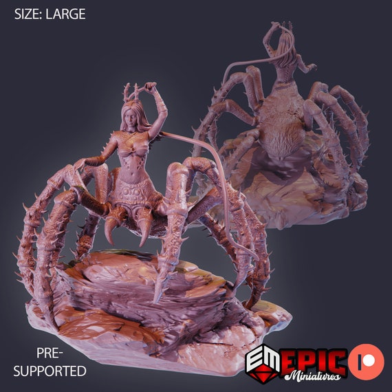 Araignée Arachnide Nature - Photo gratuite sur