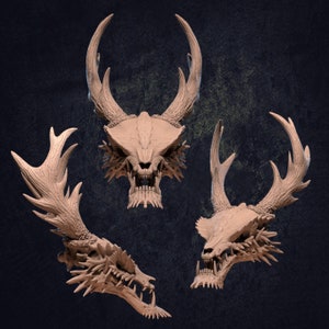 Asian Dragon Skull by Dragon Trappers Lodge