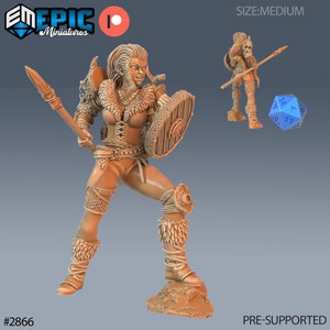 Viking Shieldmaidens by Epic Miniatures - Viking&#39;s Age