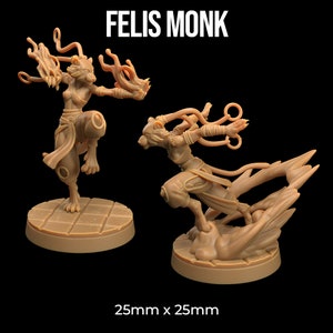 Felis Monk by Dragon Trappers Lodge