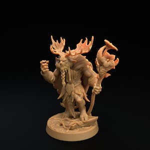 Forestfolk Druid by Dragon Trappers Lodge