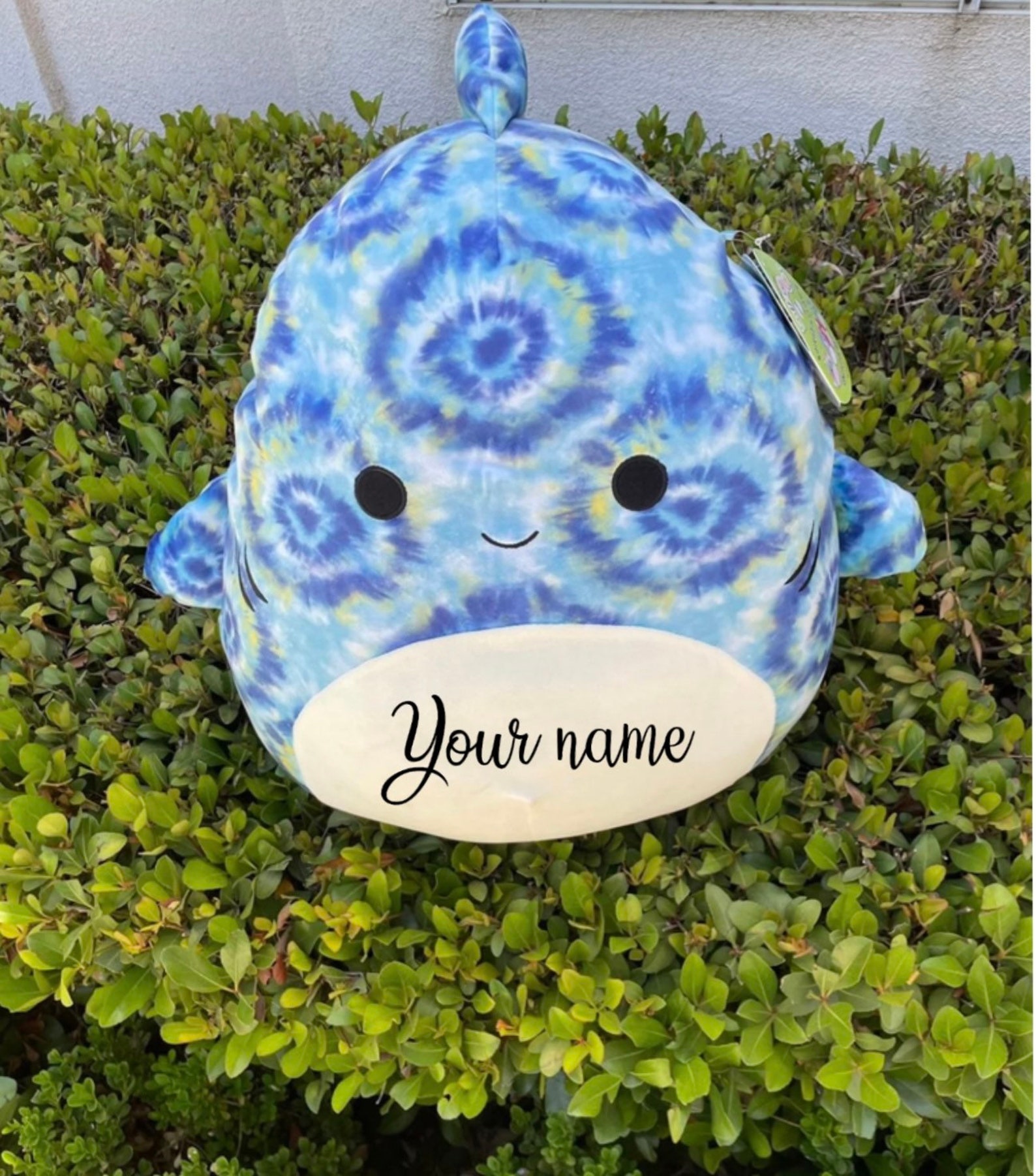 Custom Squishmallow | Etsy