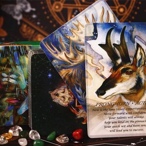 Forrest of Enchantment Tarot: tarot
