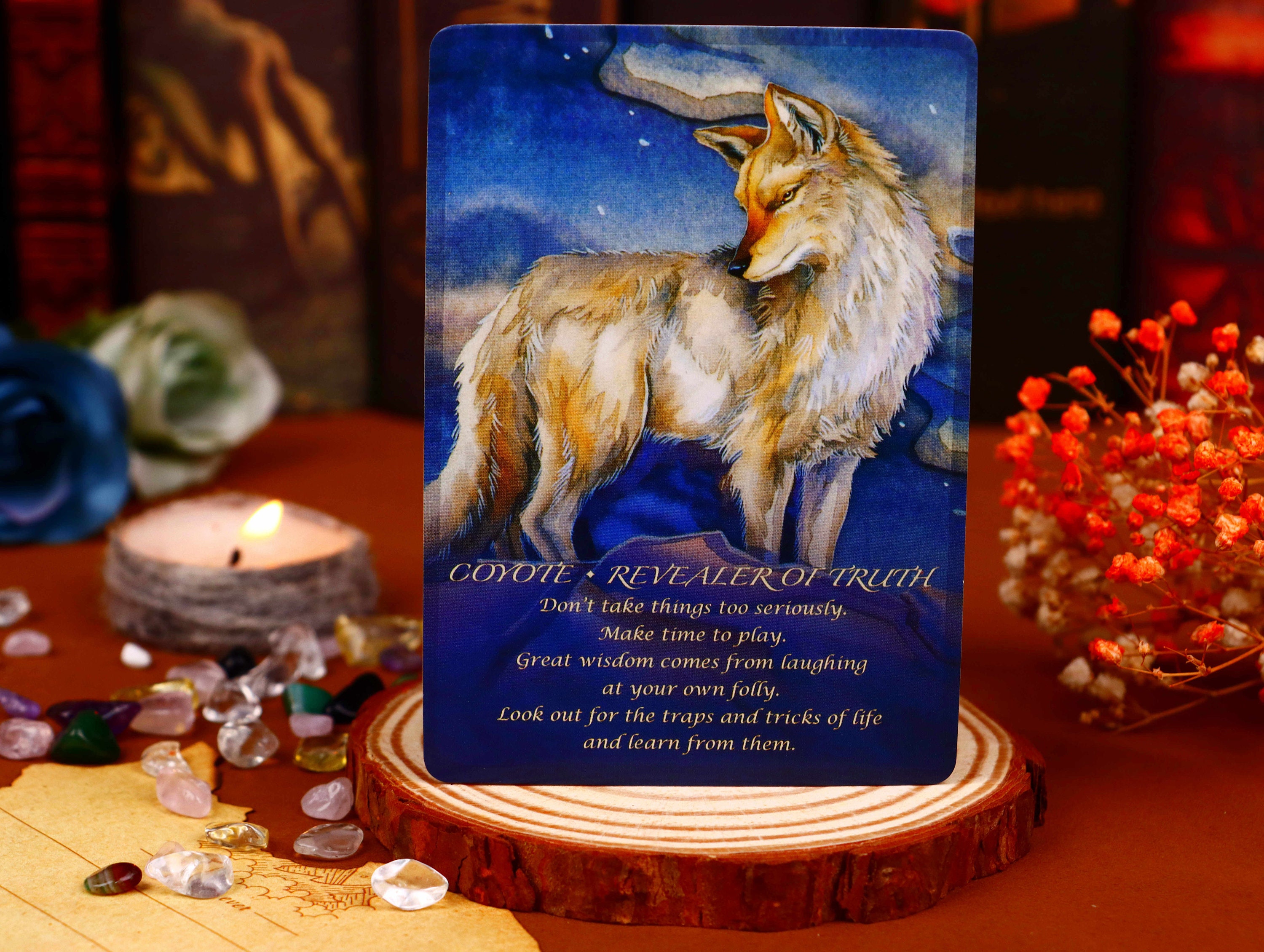 Spirit Animals Oracle Deck (Edition 2) - 96 Cards & Guidebook For Intuitive Guidance & Tarot