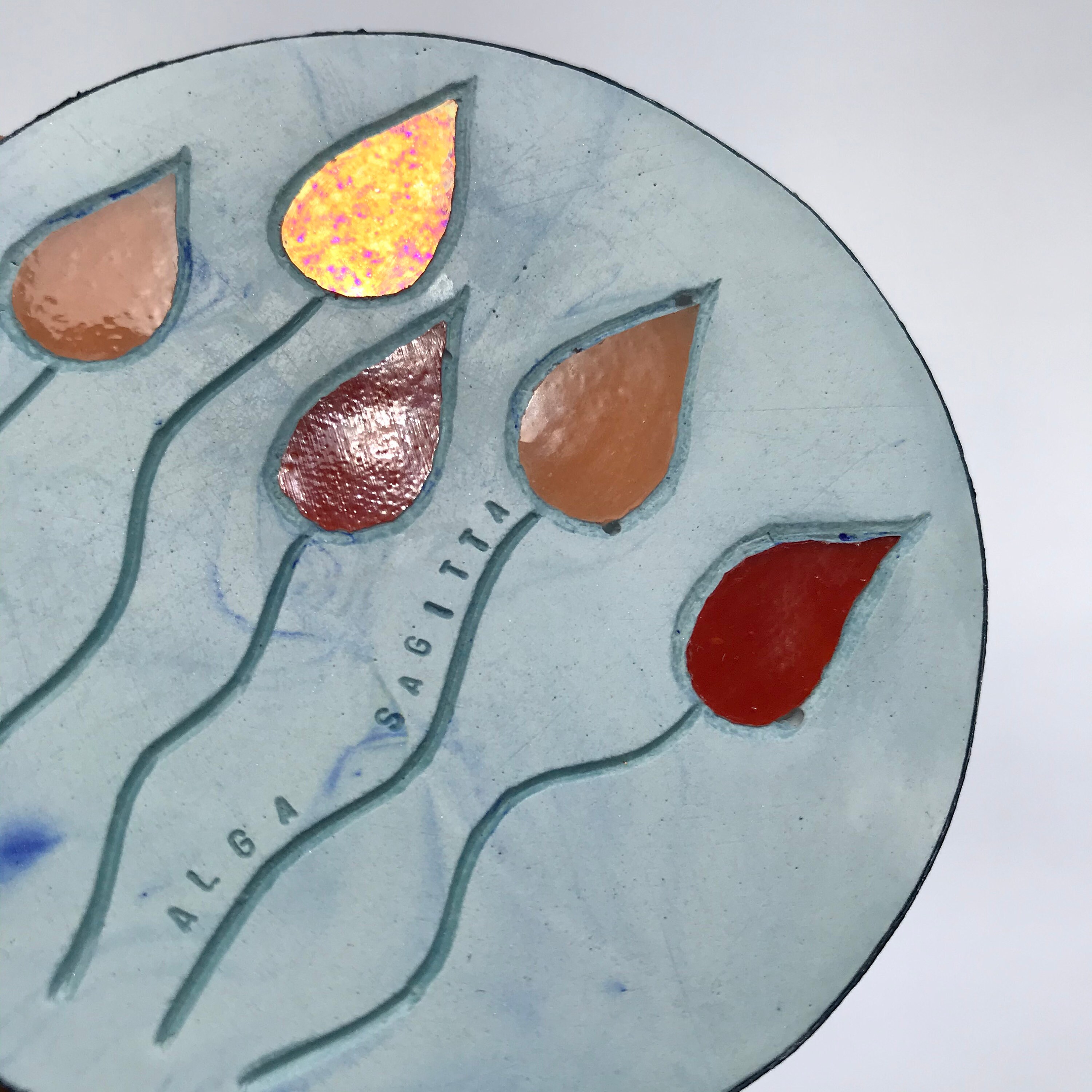 Alga Sagitta Décoration Murale Petit Format