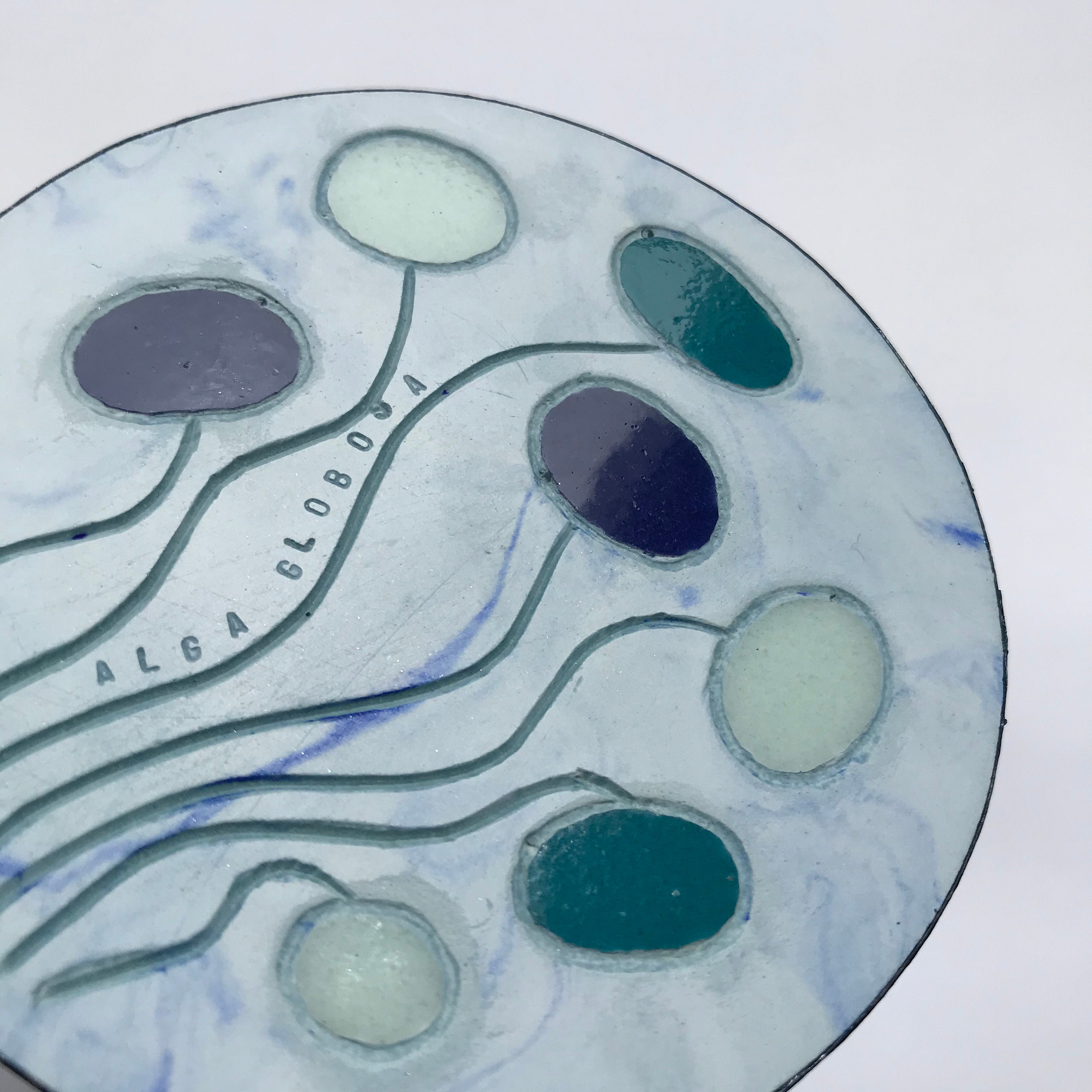 Alga Globosa Décoration Murale Petit Format