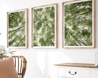 May include: Three framed wall art prints featuring a low-angle view of green tree canopies against a bright sky, displayed above a rattan chair with a peach pillow and white throw, next to a white cabinet and a woven basket.