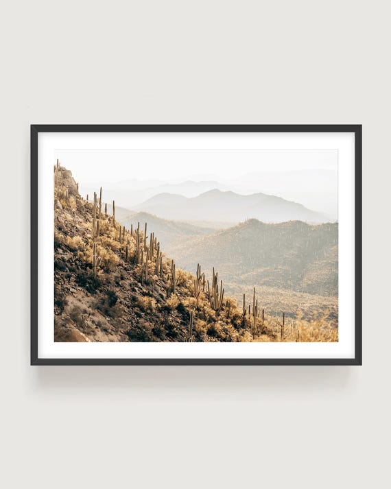 Desert Wall Art – Saguaro Cacti Southwest Landscape, Neutral Nature Photography Print