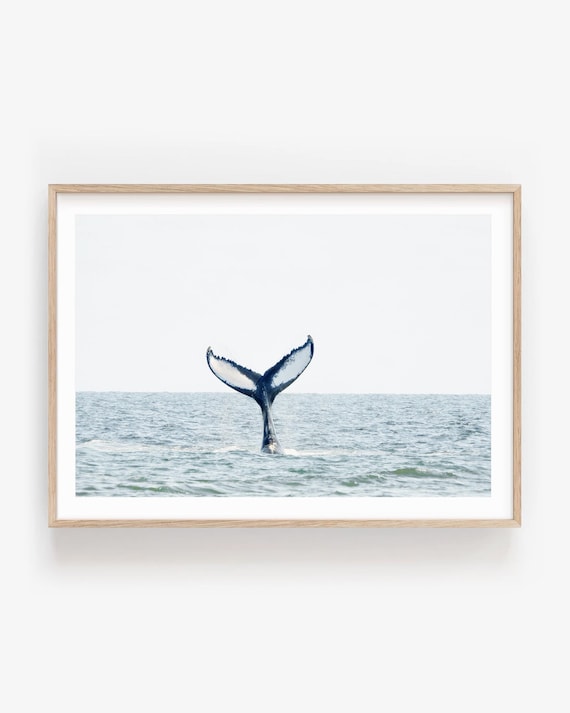 Whale Tail Fine Art Print - Minimal Coastal Wall Decor in Soft Neutral Tones