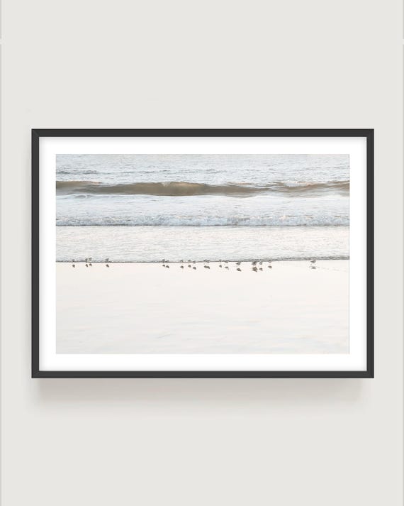 Sandpiper Wall Art - Coastal Bird Fine Art Print Framed or Unframed