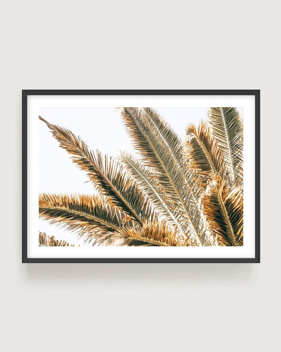 Neutral Tropical Palm Leaf Photography: Botanical Golden Light Fine Art Print
