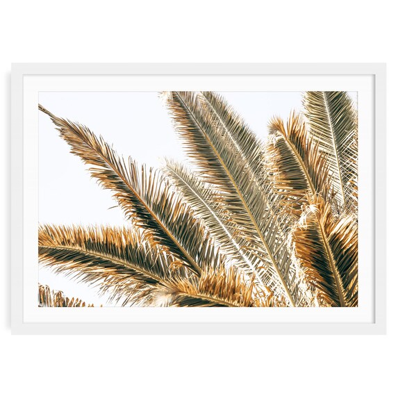 Neutral Tropical Palm Leaf Photography: Botanical Golden Light Fine Art Print