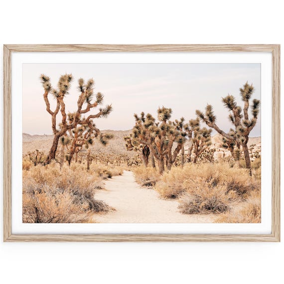 Joshua Tree Desert Print, California Landscape Photography, Framed or Unframed Wall Art