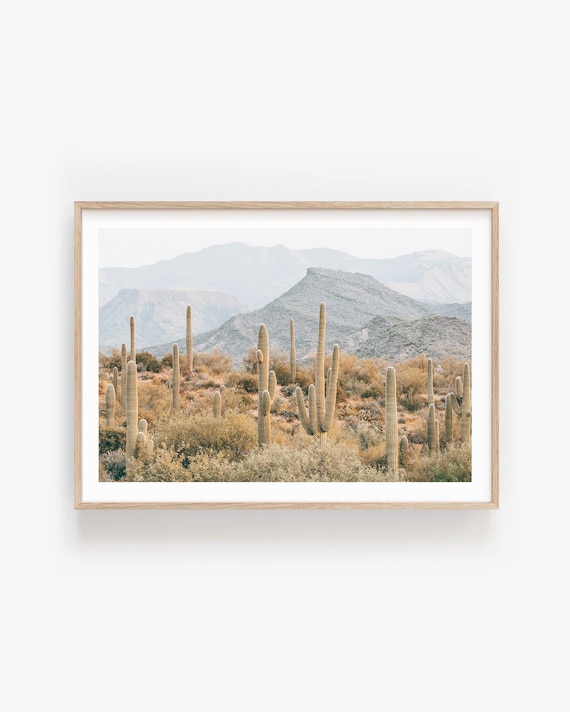 Saguaro Cactus Fine Art Print: Neutral Desert Wall Art for Calm Modern Interiors