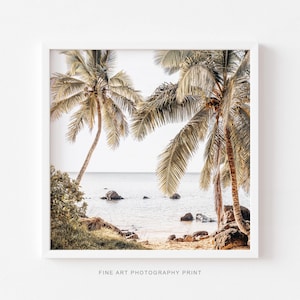 Hawaii Palm Tree Print: Coastal Nature Photography, Beach House Decor