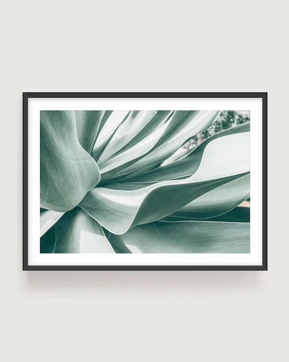 Botanical Wall Art – Minimalist Agave Photography Print for Neutral Modern Decor