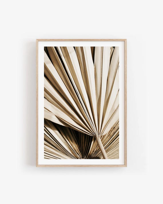 Minimalist Palm Leaf Photo: Abstract Botanical Wall Art, Modern Neutral Nature Print
