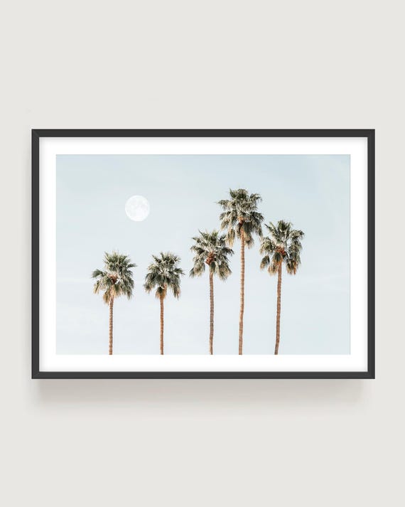 Tropical Wall Art – Minimalist Palm Tree Moon Print, Neutral Nature Photography