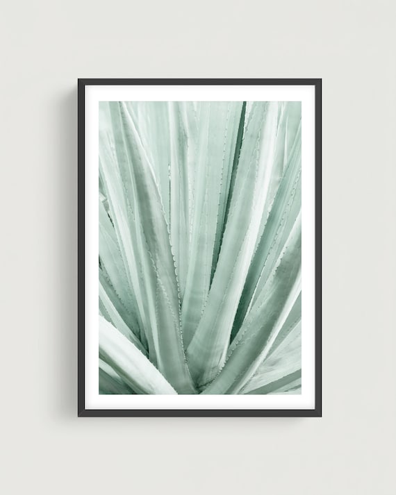 Agave Leaves Wall Art - Sage Green Botanical Photography, Minimalist Plant Print