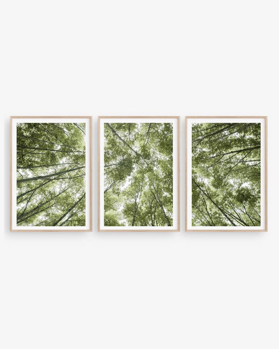 Green Forest Canopy Print Set: Nature Photography Gallery Wall Art