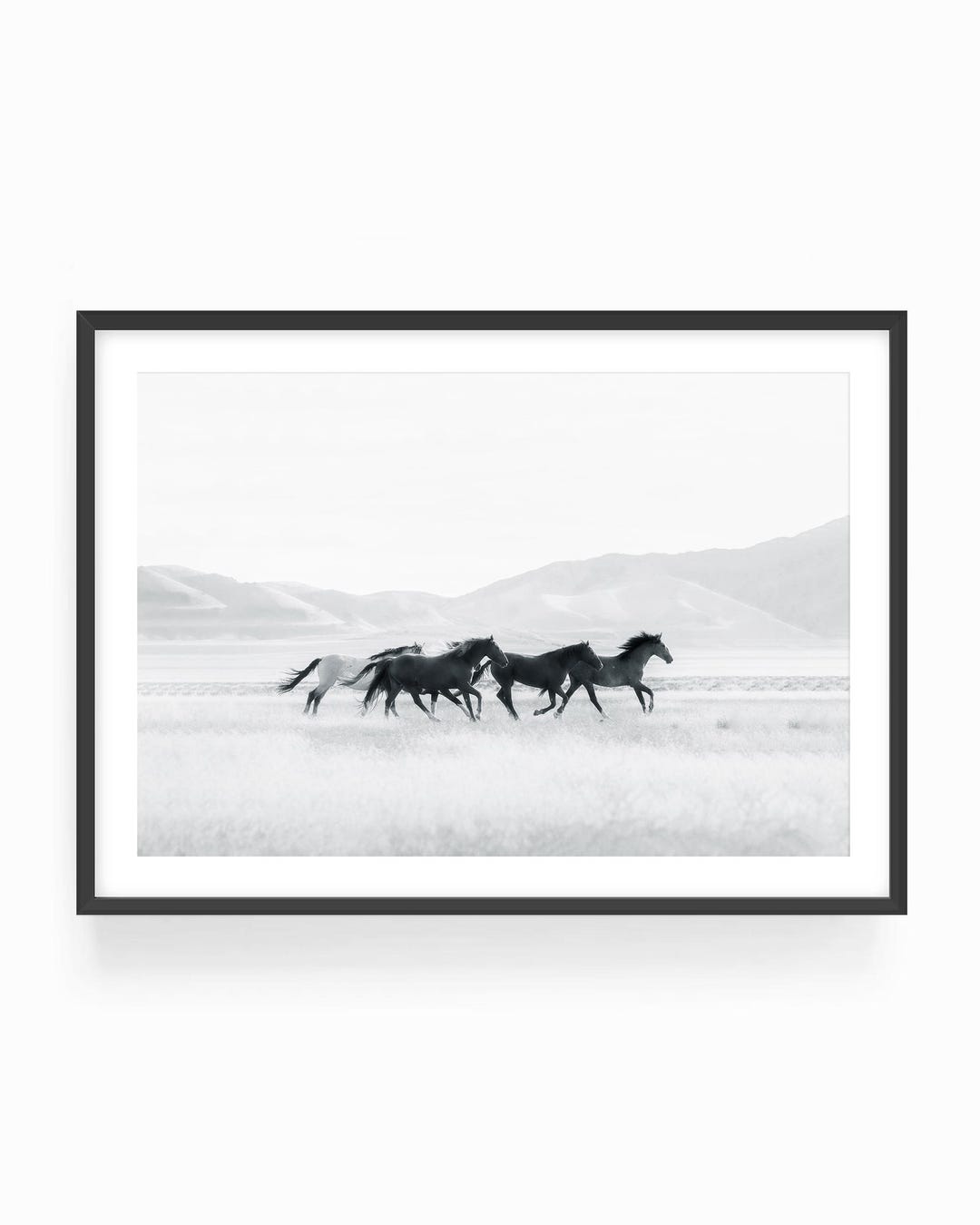 Black and White Wild Horses Wall Art - Western Desert Photography Print ...