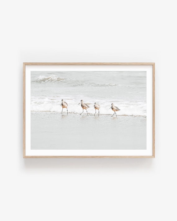 Beach Sandpipers Wall Art: Neutral Coastal Birds Photography