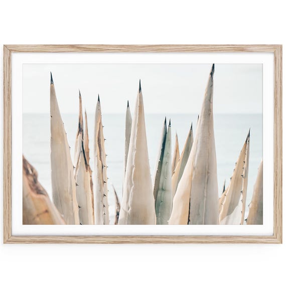 Coastal Agave Fine Art Print, Framed or Unframed Botanical Beach House Decor